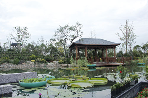 花博會 杭州園林 園林綠化 國際展園