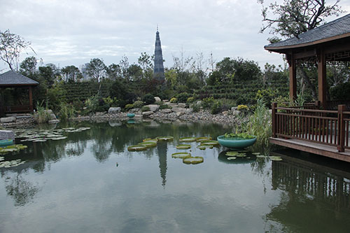 花博會 杭州園林 園林綠化 國際展園