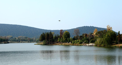 云龍湖 珠山景區(qū) 綠化工程 杭州園林