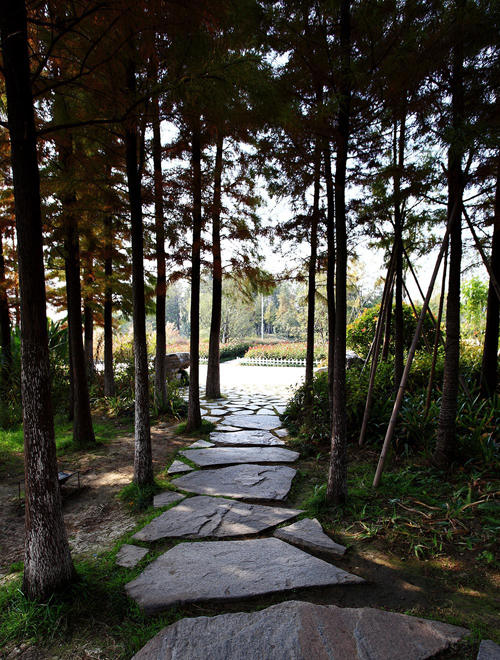 云龍湖 珠山景區(qū) 綠化工程 杭州園林