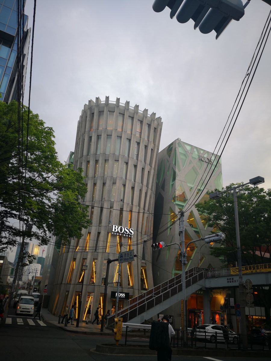 東京知名建筑與景觀參訪 與戶田芳樹大師對話