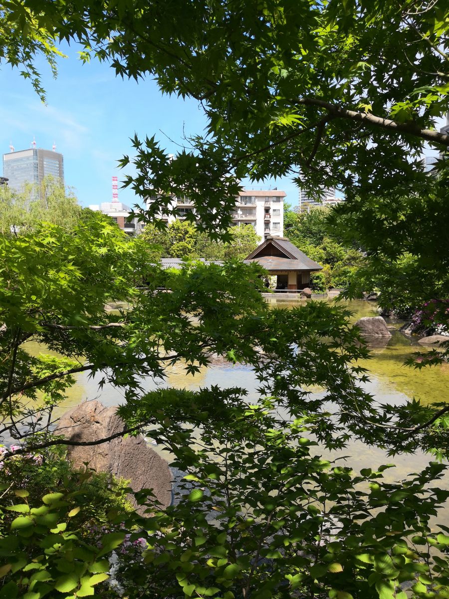 東京知名建筑與景觀參訪 與戶田芳樹大師對話